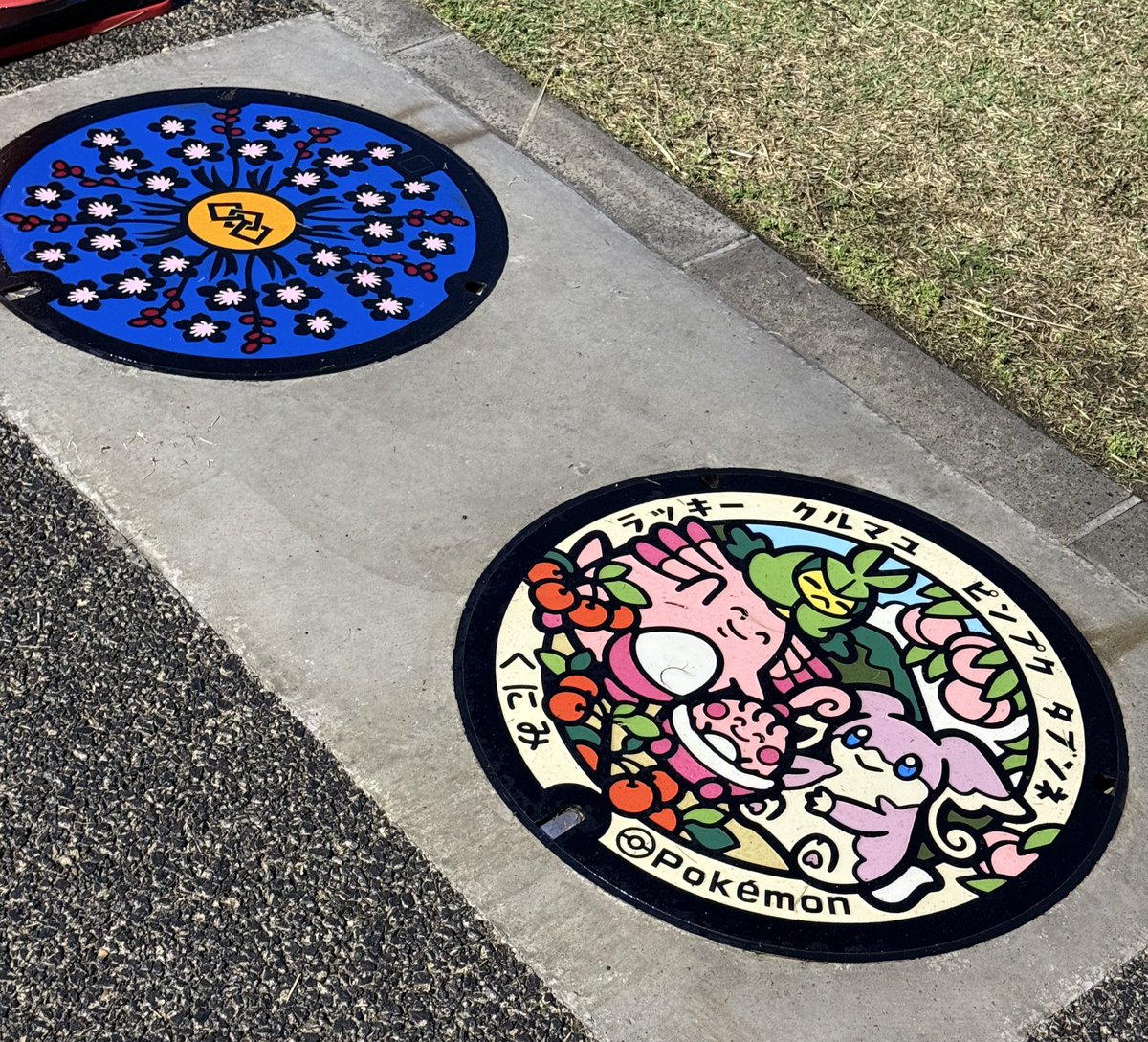 ただいま、ラッキーと巡る！アートなインフラ＆ポケふたスタンプラリーが開催中！！

道の駅国見あつかしの郷にも、かわいいポケふたが設置されています☺️✨️
ぜひぜひ期間内に1度と言わずたくさん🥺これから始まる桃🍑✨️を食べ比べに来てくださいね〜！！

tif.ne.jp/pokemon/