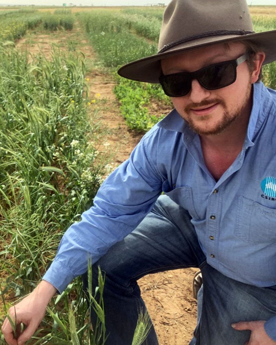 A $10 million project is set to transform how Australian agriculture understands &amp; addresses #soilhealth – creating a standardised, cross-sector approach.

<a href="/CSIRO/">CSIRO</a> will lead the development of a Soil Health Framework tailored to Australian production systems.

Read more: