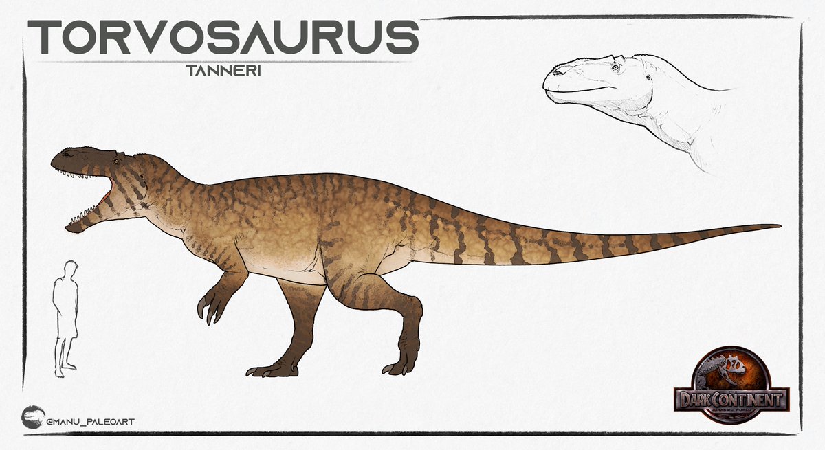 Jurassic_World_Fandom (@brycenator100) on Twitter photo 🚨Check Out The Stylized Design For The Female Torvosaurus In My Novel: The Dark Continent 🚨
•
Commissioned By: <a href="/MDinoart/">Manu_Paleoart</a> 🚨Check Out The Stylized Design For The Female Torvosaurus In My Novel: The Dark Continent 🚨
•
Commissioned By: <a href="/MDinoart/">Manu_Paleoart</a>