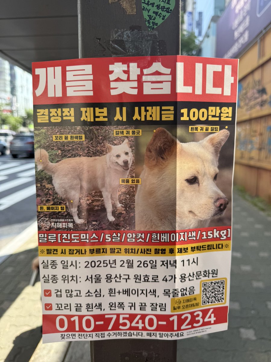밀루 집에 가자