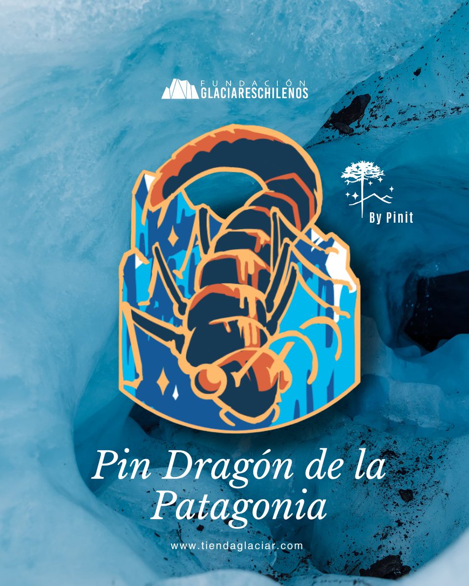 ¡No te quedes sin tu pin del Dragón de la Patagonia! 🐜❄️ Desarrollado en colaboración con Pinit 🧊Encuéntralo en nuestra Tienda Glaciar y lleva contigo un pedacito de la Patagonia 💙
#GlaciaresChilenos #DragónDeLaPatagonia  

tiendaglaciar.com/pinit/36-pin-d…
