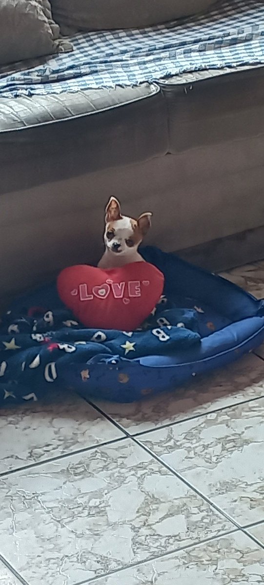 Azan_Crow tweet media