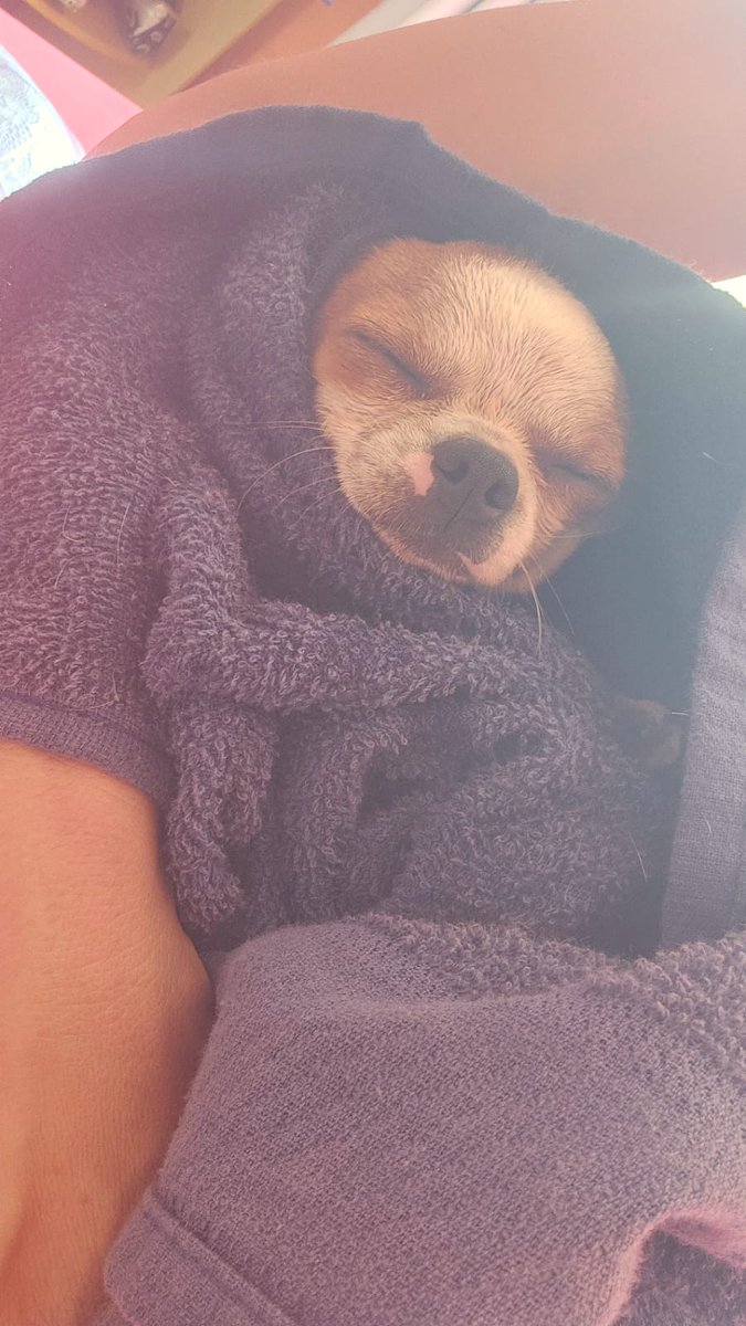 Azan_Crow tweet media