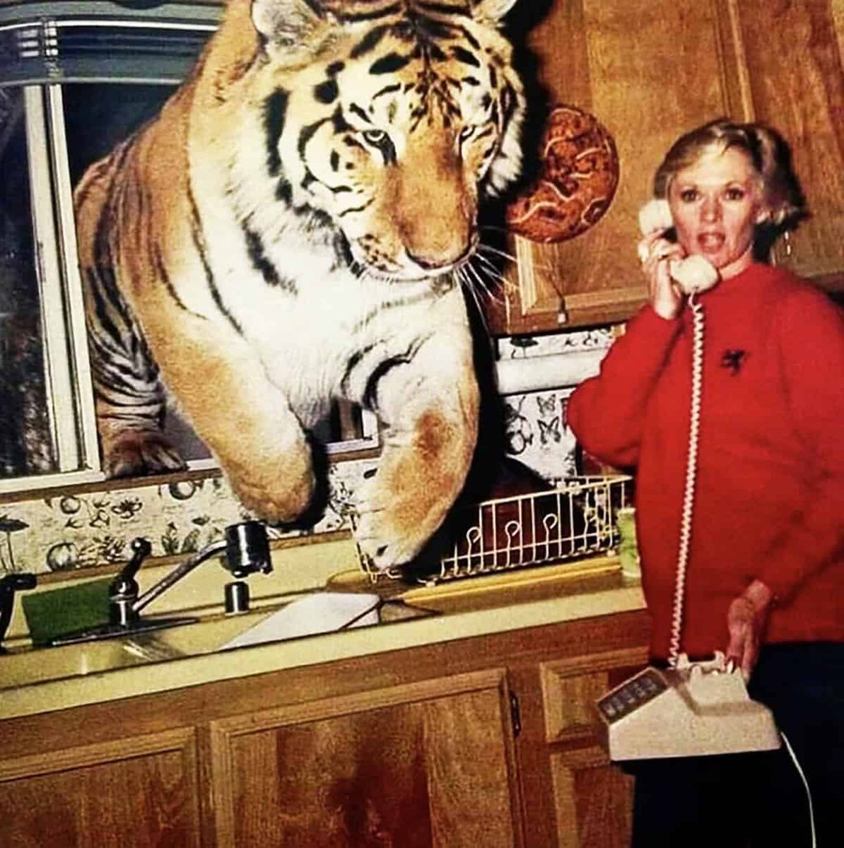 AgathaChocolats's tweet photo. In six words or fewer, write a story about this photo.
#sixwordstory #WritingCommmunity https://t.co/i9gtwMaLhV