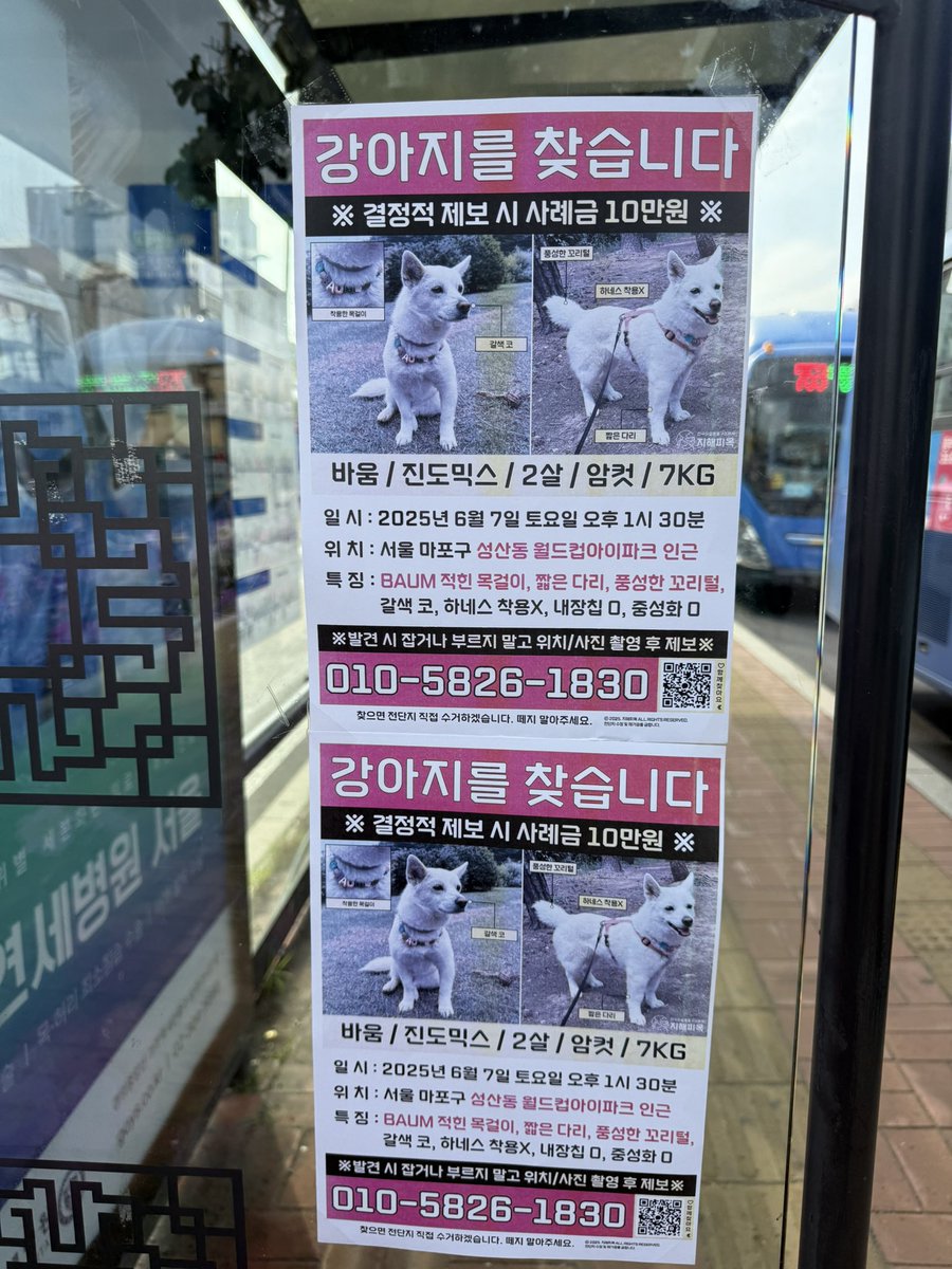 바움이 집에 가자