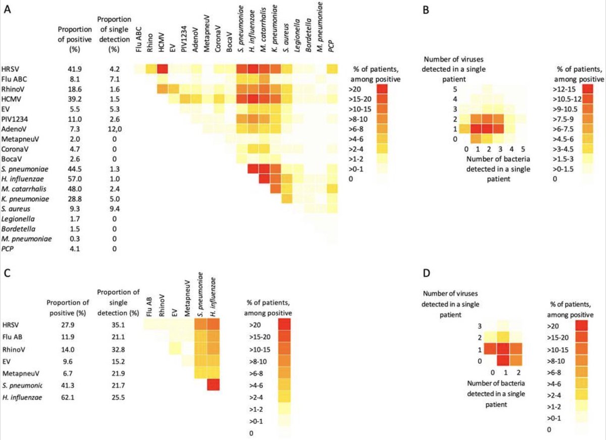 The Infection Flagship, MCRI, Melbourne (@infection_mcri) on Twitter photo Study on respiratory co-infection in children in Laos shows complex relationships between viruses, bacteria and disease severity - see the paper and image below rather than a feeble summary attempt by me...
<a href="/CSatzke/">Catherine Satzke</a> <a href="/Fiona_M_Russell/">Fiona Russell</a> <a href="/MCRI_for_kids/">Murdoch Children's Research Institute (MCRI)</a>
doi: 10.1038/s41598-025-01659-y Study on respiratory co-infection in children in Laos shows complex relationships between viruses, bacteria and disease severity - see the paper and image below rather than a feeble summary attempt by me...
<a href="/CSatzke/">Catherine Satzke</a> <a href="/Fiona_M_Russell/">Fiona Russell</a> <a href="/MCRI_for_kids/">Murdoch Children's Research Institute (MCRI)</a>
doi: 10.1038/s41598-025-01659-y