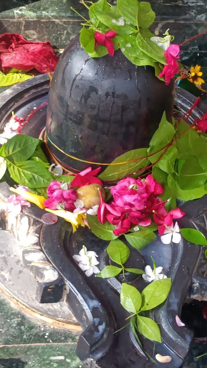 𝒌𓍯𓂃🦋 tweet media