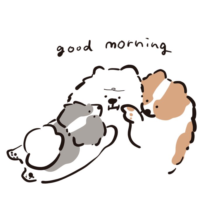 pomeranianmog's tweet image. 