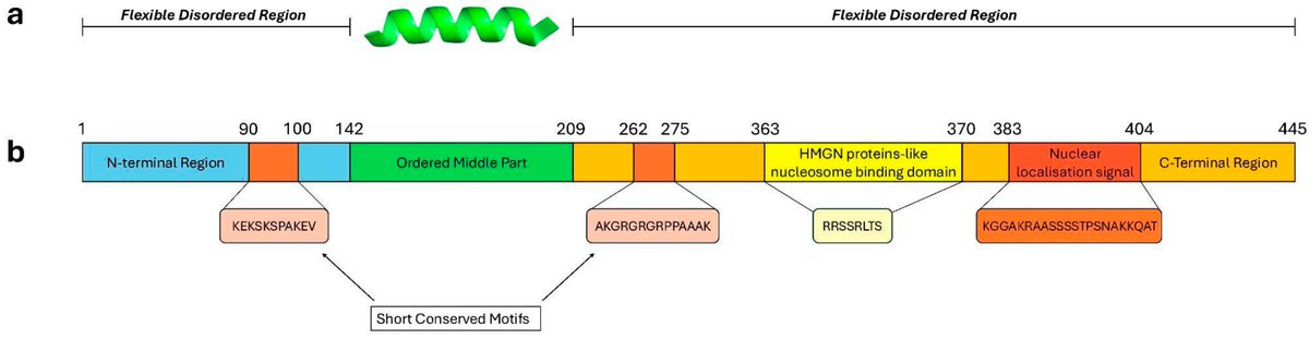 🥰New Paper Sharing🥰

"Captain Tardigrade and Its Shield to Protect DNA" by Silvia Cantara, Tommaso Regoli, and Claudia Ricci.

🤗mdpi.com/2673-8856/5/2/…

<a href="/MDPIOpenAccess/">MDPI</a> <a href="/MDPIBiologySubj/">MDPI Biology</a>
