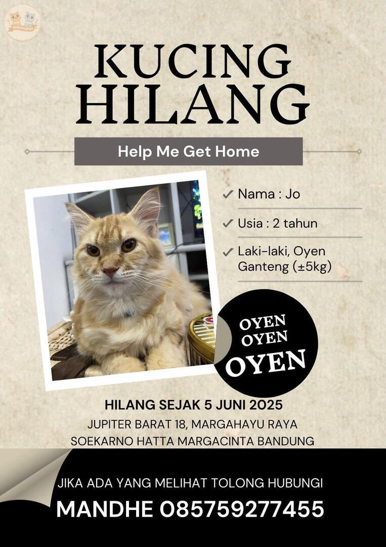 🐈 ‼️ KUCING HILANG, HELP RT ‼️

Hi Pawrents kucing temenku hilang, mohon doa dan bantuannya siapa tau ada yang liat. Terima Kasih 🐾