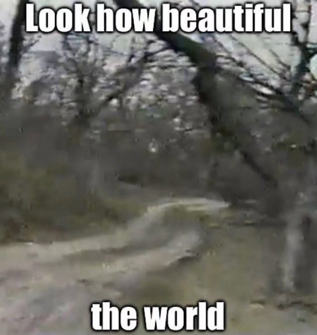 poast (@asilaypoasting) on Twitter photo 