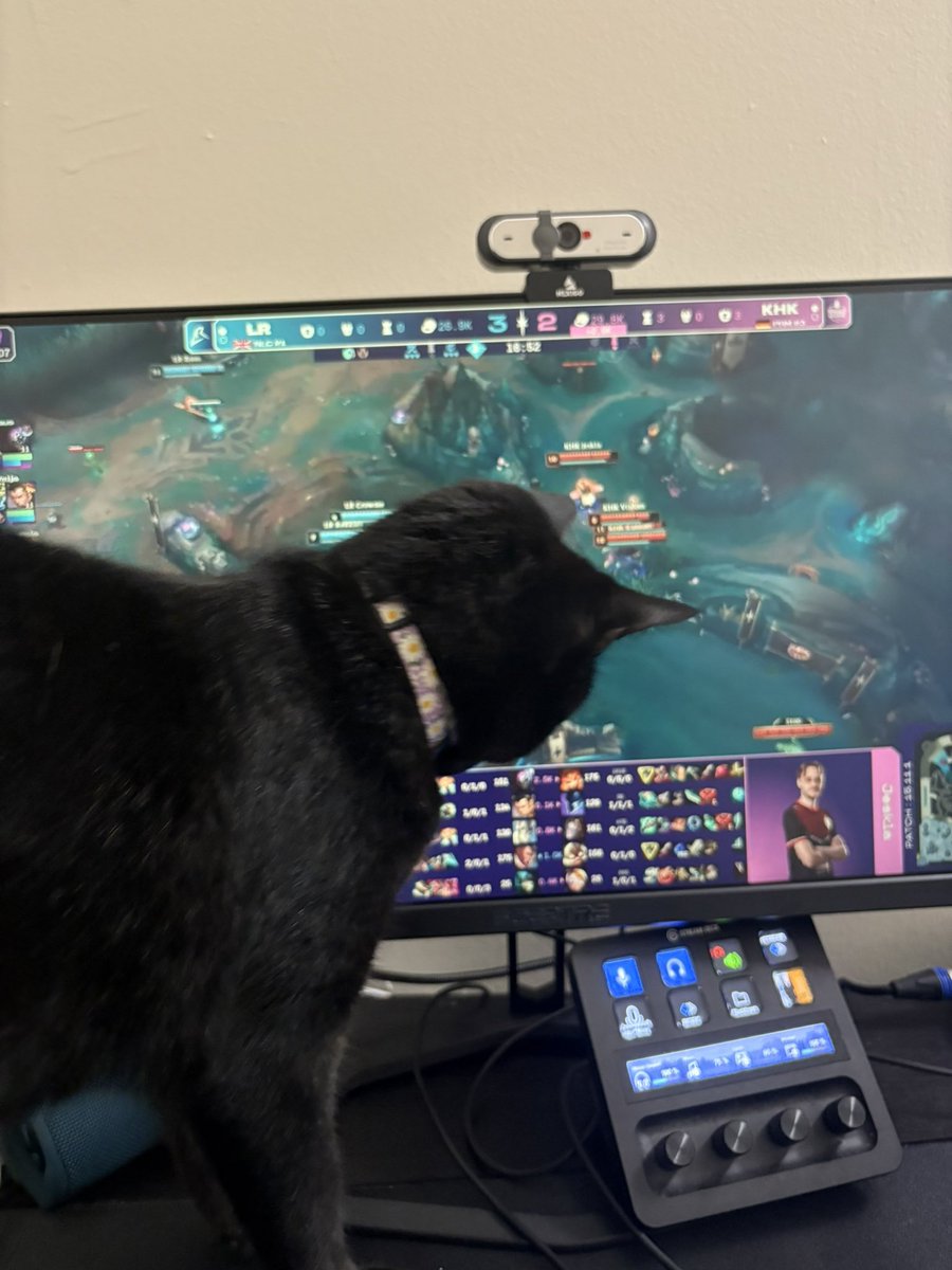 graduated ✅
got a job ✅
officially moved in w gf and cat ✅