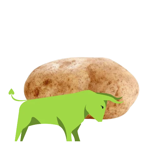 Time to wake up $POTATO 😊