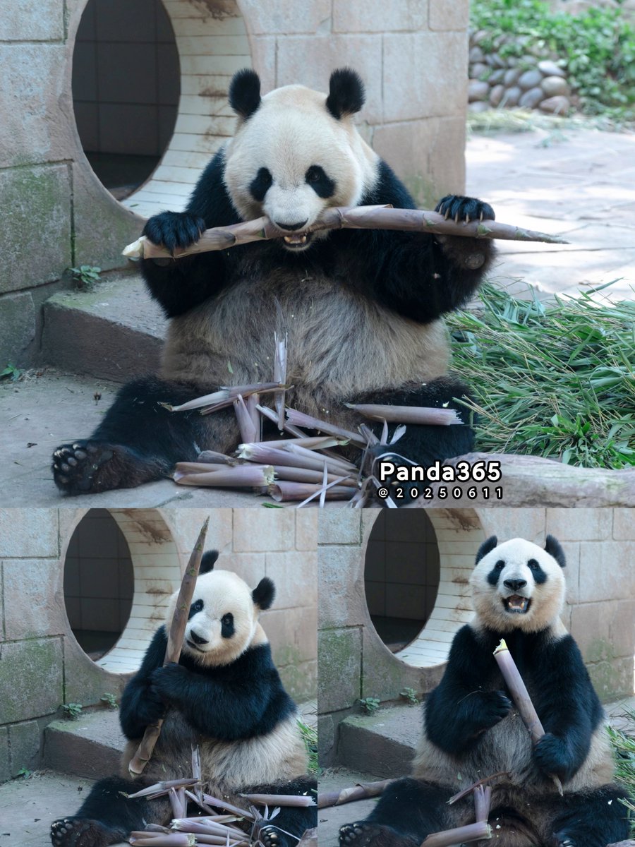 食欲がすごくて、全部食べちゃった！😋
