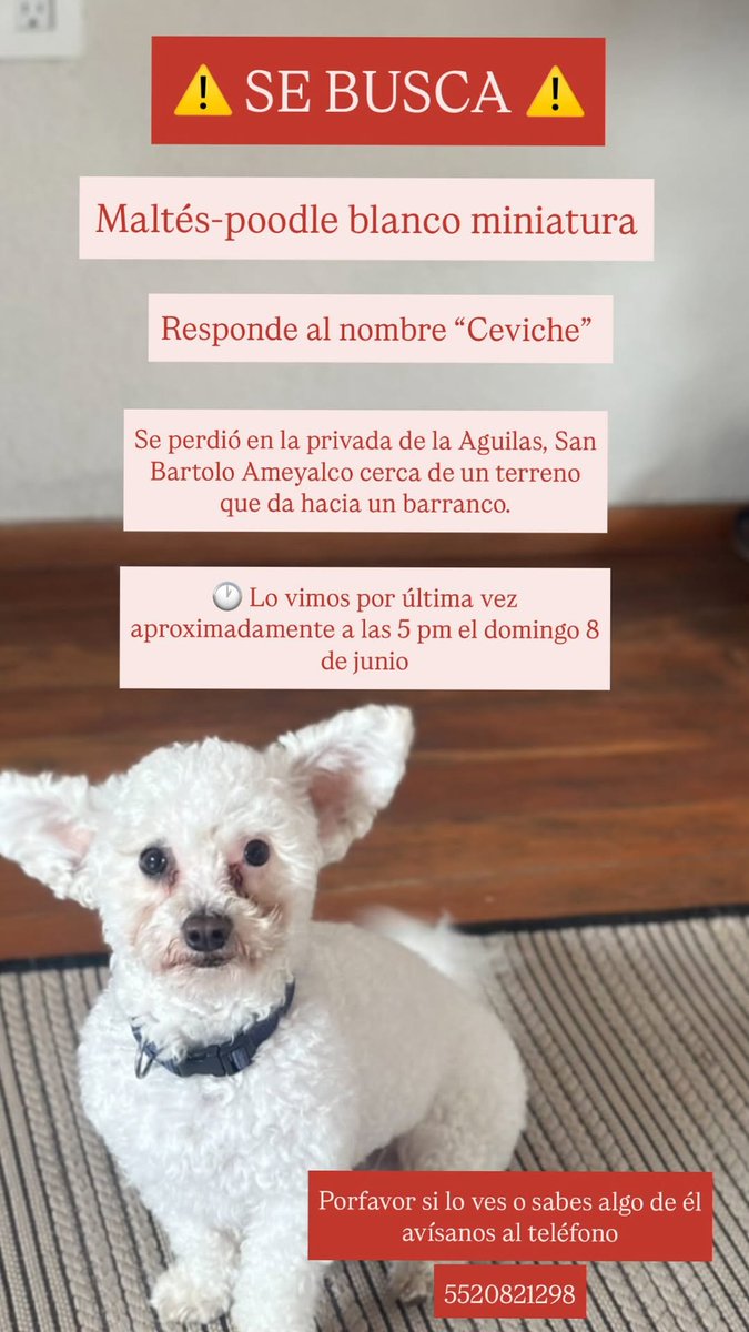 <a href="/andysola/">Andrea Sola</a> <a href="/valentinaror/">Valentina Rodríguez</a> <a href="/sanchanclau/">San Chan</a> <a href="/Mayte_Carranco/">Mayte Carranco</a> <a href="/PepetoMacias/">J A M C</a> <a href="/ccp_mario/">Mario C Castañeda P.</a>  RT 🙏🏻