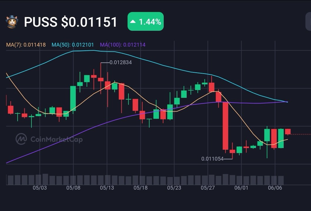 pussmemecoin's tweet photo. $PUSS shaped an 'M' last month - two strong peaks and one healthy dip.

🚨 Chart readers know what that means…
👉 It’s time to buy the dip before the next breakout! https://t.co/XmgEjwhgHY