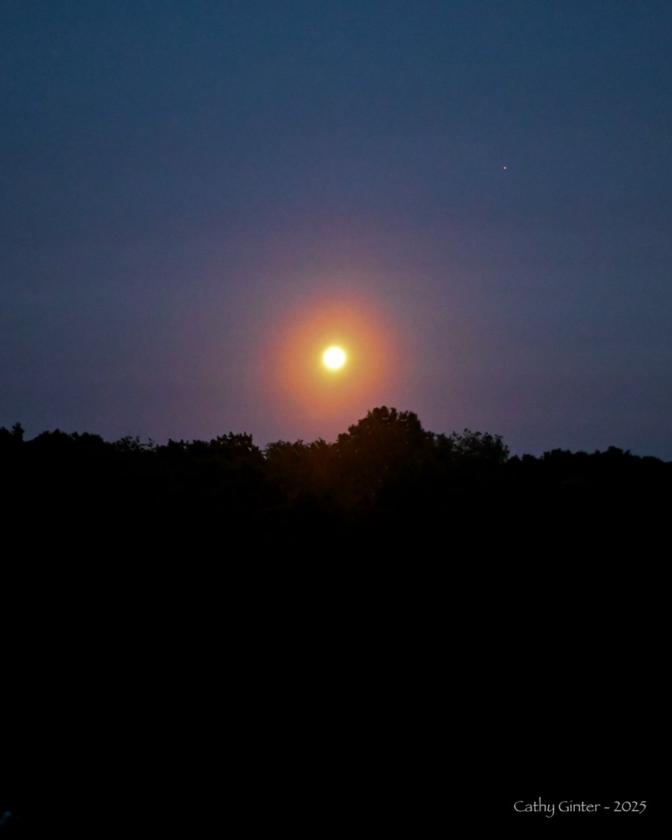 CathyGinter's tweet photo. A beautiful Strawberry Full Moon at twilight, rising over our homestead in w. Pennsylvania… there is still hope in the world, I hope ~
#FullMoon #Nature #Photography #SignsOfSummer #Twilight https://t.co/OfZF46iRJ8