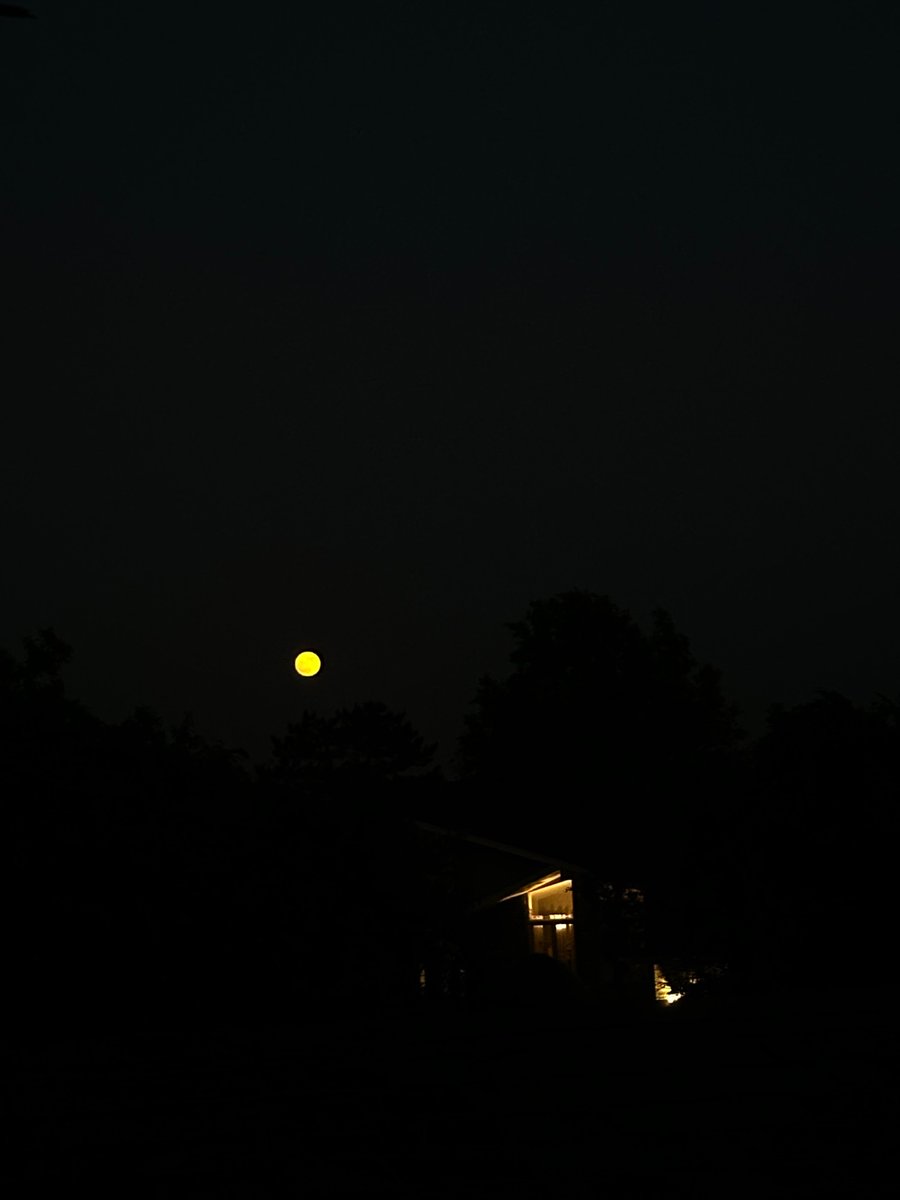 the ever lovely strawberry moon