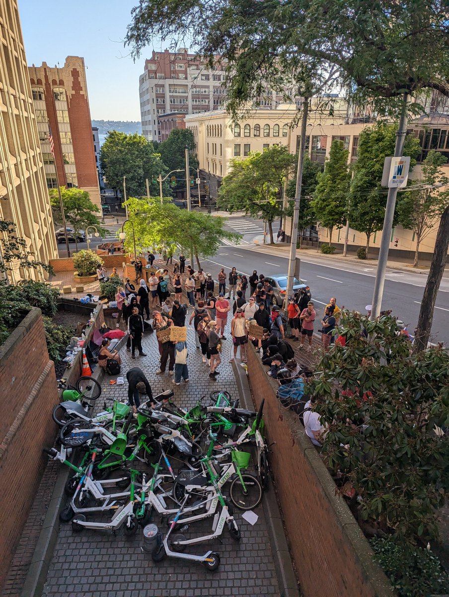 Guy Oron tweet media