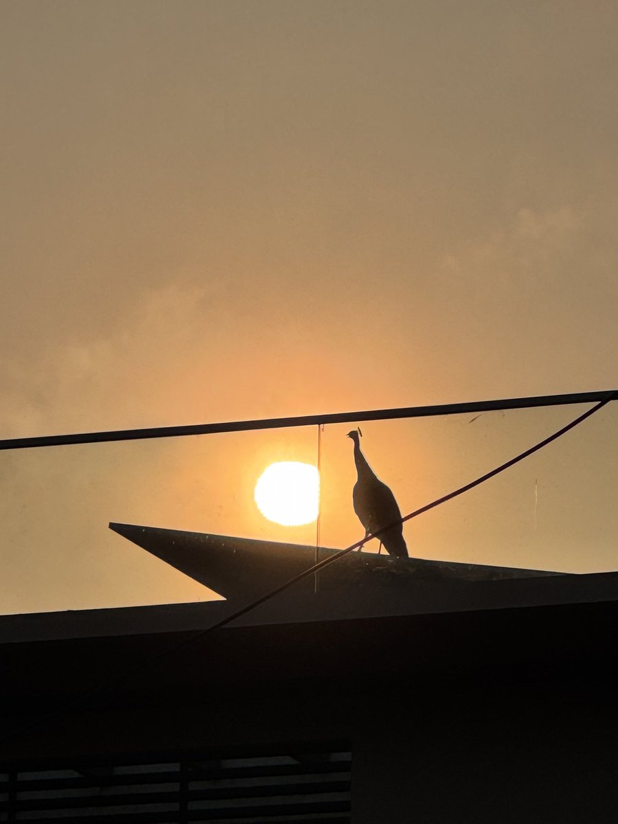 prasanna santhi (@prasannasanthi) on Twitter photo <a href="/sundaresan1945/">அ.சுந்தரேசன்.</a> <a href="/shaakbhaji/">Viren Patel</a> <a href="/SyedSakilAhmed3/">Syed Sakil Ahmed</a> <a href="/AstridLavalette/">Astrid Lavalette</a> <a href="/LiveaMemory/">Live a Memory</a> <a href="/JeanetteJoy/">Jeanette JOY☮️</a> <a href="/KishorePrabhala/">Dr.PrabhalaKishore</a> <a href="/advocateARULDEV/">மெட்ராஸ்காரன் ™</a> <a href="/DrAlkaRay2/">Dr Alka Ray</a> <a href="/Jay_Rombach/">Jay Rombach</a> <a href="/GVRAMANARAO1/">gvrr🤝💞🦋🙏</a> <a href="/PMSKTM/">PMS</a> <a href="/baski_LA/">Baskaran Ambalavanan</a> <a href="/DanielBrasilia/">Daniel de Godoy Lopes</a> <a href="/scouse_kim/">scouse kim</a> Good Morning to you and all dear friends. Have a great Wednesday dear all. #Sunrise sky view after 6.50 AM today <a href="/sundaresan1945/">அ.சுந்தரேசன்.</a> <a href="/shaakbhaji/">Viren Patel</a> <a href="/SyedSakilAhmed3/">Syed Sakil Ahmed</a> <a href="/AstridLavalette/">Astrid Lavalette</a> <a href="/LiveaMemory/">Live a Memory</a> <a href="/JeanetteJoy/">Jeanette JOY☮️</a> <a href="/KishorePrabhala/">Dr.PrabhalaKishore</a> <a href="/advocateARULDEV/">மெட்ராஸ்காரன் ™</a> <a href="/DrAlkaRay2/">Dr Alka Ray</a> <a href="/Jay_Rombach/">Jay Rombach</a> <a href="/GVRAMANARAO1/">gvrr🤝💞🦋🙏</a> <a href="/PMSKTM/">PMS</a> <a href="/baski_LA/">Baskaran Ambalavanan</a> <a href="/DanielBrasilia/">Daniel de Godoy Lopes</a> <a href="/scouse_kim/">scouse kim</a> Good Morning to you and all dear friends. Have a great Wednesday dear all. #Sunrise sky view after 6.50 AM today