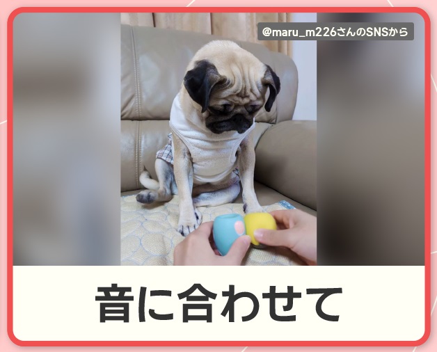 GtINdINbQAAwTgP.jpg?format=jpg