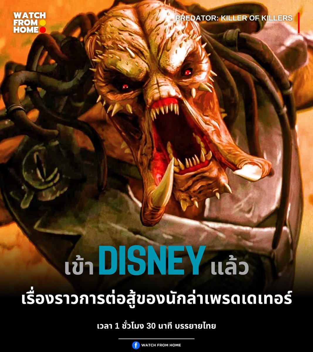 maiusionr's tweet photo. 𓏳 👼🏻 DISNEY จอไม่ชน◟✿ 🩷

    1 วัน 25 บาท

    7 วัน 40 บาท

 30 วัน 85 บาท

✅ จอส่วนตัว จอไม่ชน
ᰍ ♡ เข้าได้ทุกอุปกรณ์

https://t.co/qxvwG1T6TD 𓇼

#หารdisneyplus #หารdisney 
#หารdisneyราคาถูก #หารดิสนีย์ #ดิสนีย์พลัสราคาถูก #หารดิสนีย์พลัส 1🍊 https://t.co/wudrZUQCTs