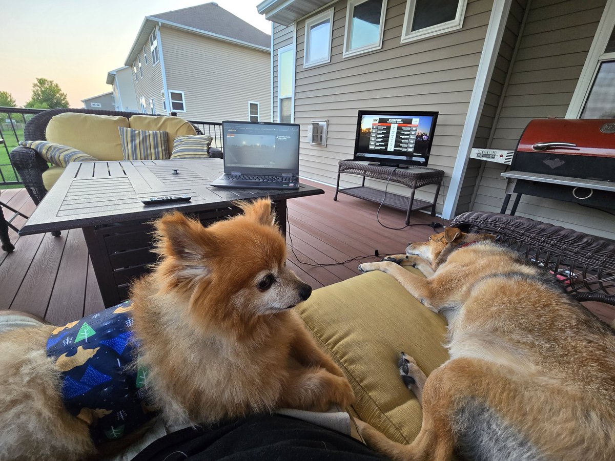 ZBusHouseGang's tweet image. Me and the pups on the deck tonight watching @HighLimitRacing