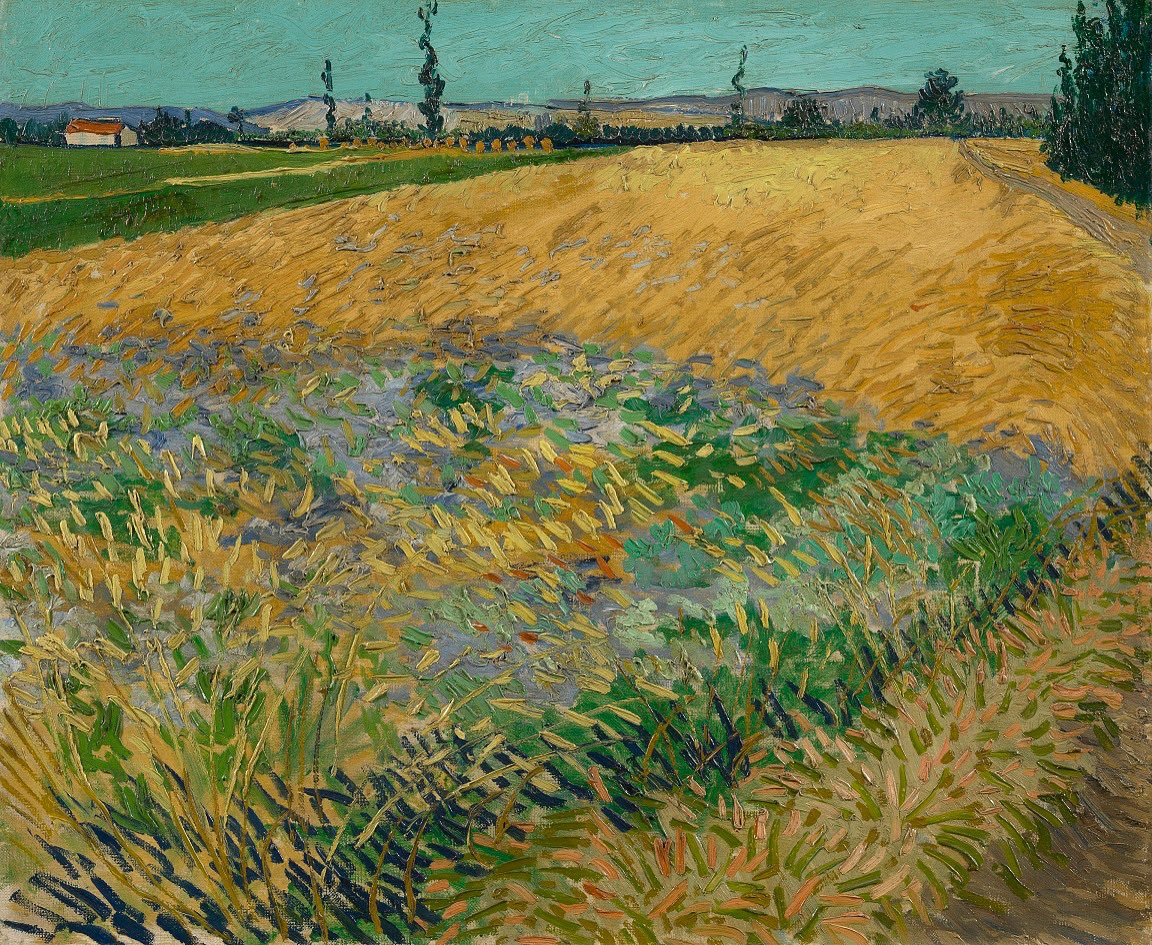 Van Gogh: The Life (@vangoghthelife) on Twitter photo #VanGogh of the Day: Wheatfield, June 1888. Oil on canvas, 54 x 65 cm. Van Gogh Museum, Amsterdam. <a href="/vangoghmuseum/">Van Gogh Museum</a> #VanGogh of the Day: Wheatfield, June 1888. Oil on canvas, 54 x 65 cm. Van Gogh Museum, Amsterdam. <a href="/vangoghmuseum/">Van Gogh Museum</a>
