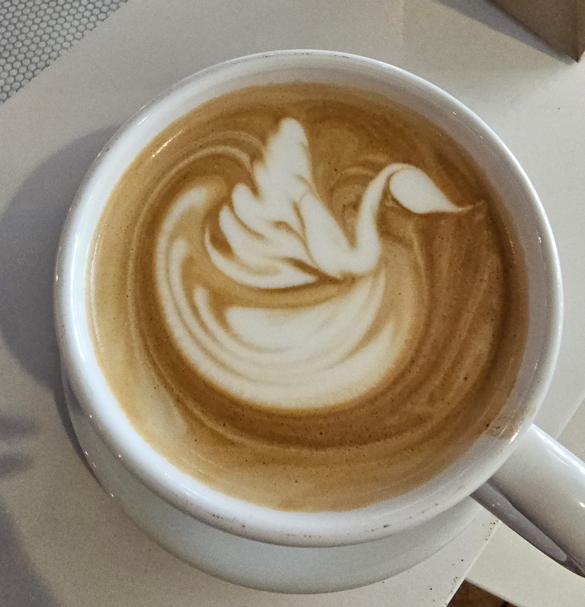 Don't ever forget I'm the coffee GOAT.
Beans for blood