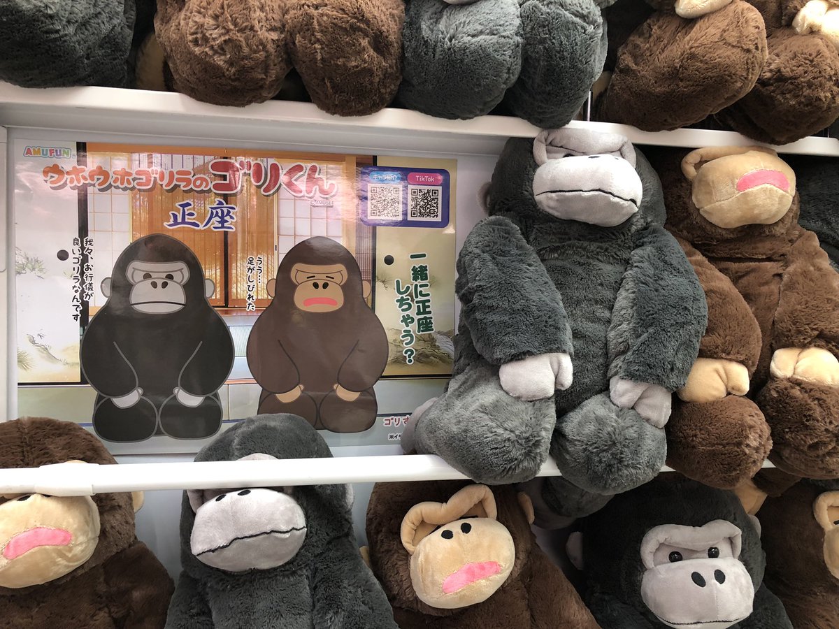 ⭐️入荷情報⭐️ 「ウホウホゴリラのゴリくん正座ウルトラBIG」 が