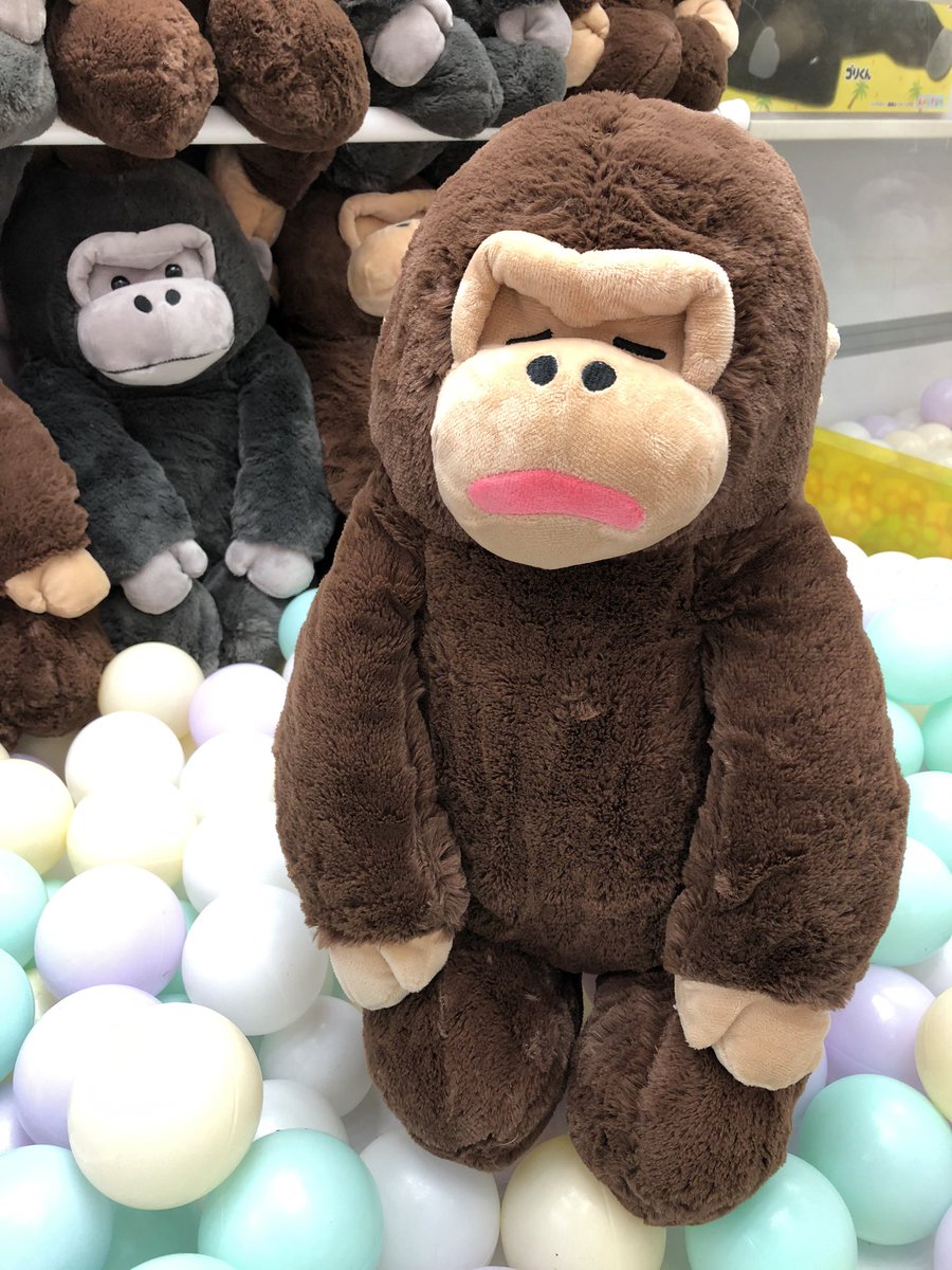 ⭐️入荷情報⭐️ 「ウホウホゴリラのゴリくん正座ウルトラBIG」 が