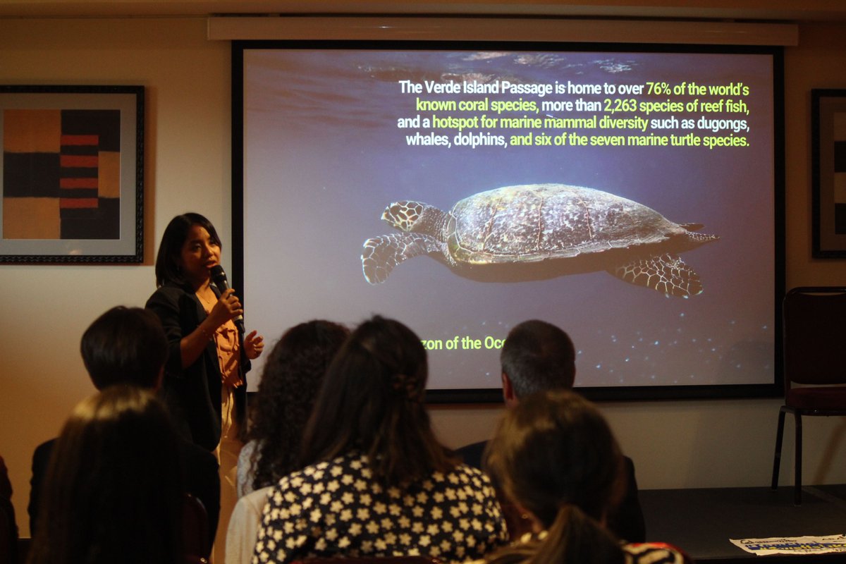 Protect VIP! tweet media