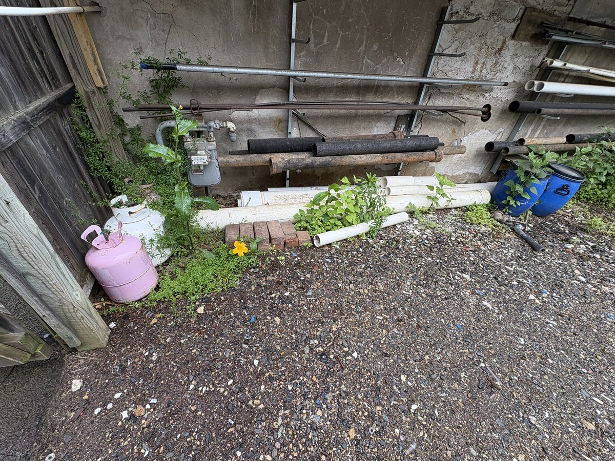 RyanRex31's tweet photo. The first time in my life I’ve ever seen a flower growing among all the stuff in my junkyard. It was pretty nice actually. 

Click the link in my bio!

#bookstagram #booktok #author #hvac #plumber #bluecollar #book https://t.co/7xstA7p6y0