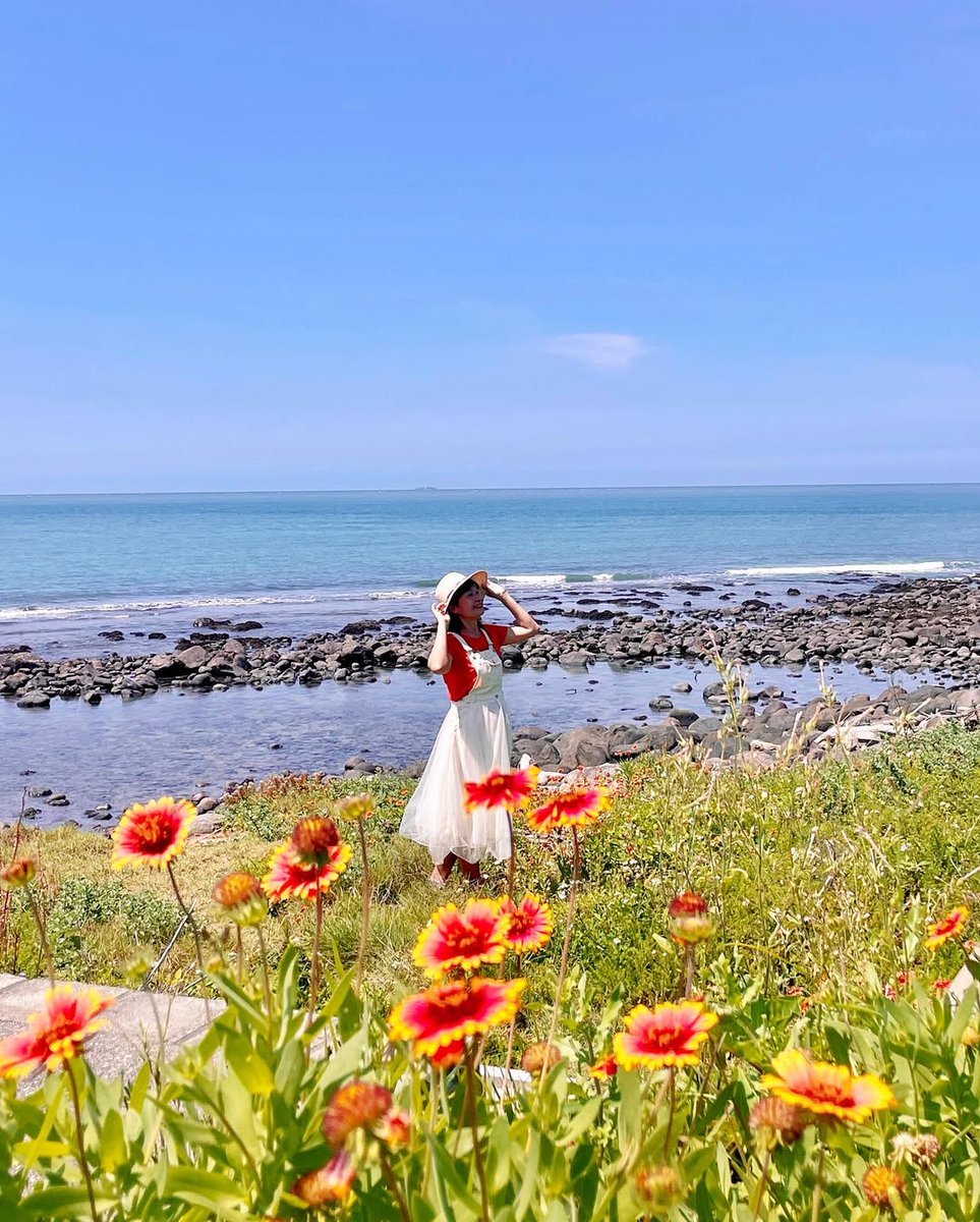 NewTaipeiGov's tweet photo. In early summer, vibrant blanket flowers bloom along the coast of #Shimen District in #NewTaipeiCity. Their bright orange petals set against the deep blue sea create one of the most soothing and picturesque views of the season.🌼🌊🌼🌊🌼
 📷ig@laiyuping9520 https://t.co/0EsiWYIjW8
