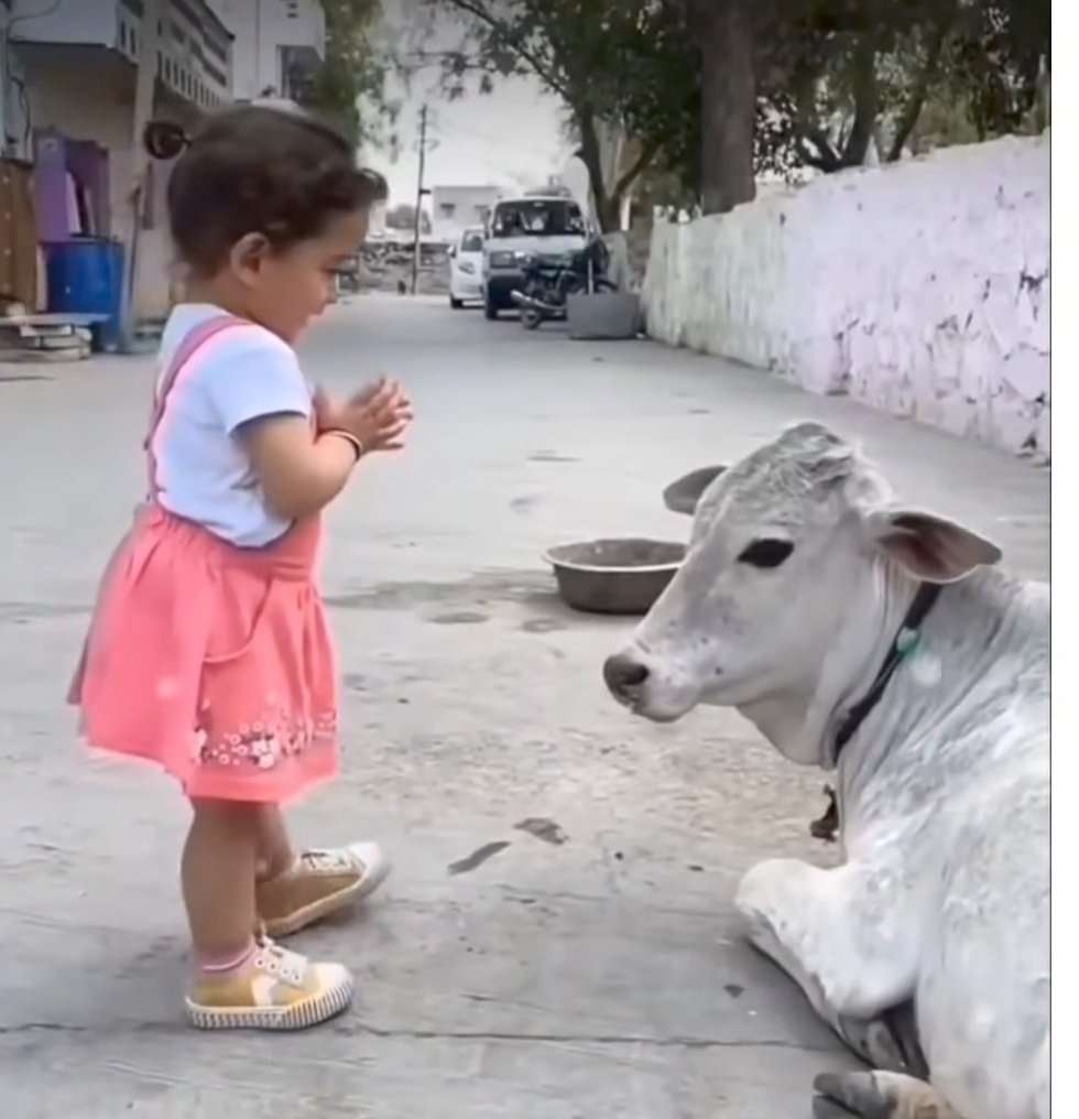 GauPrem's tweet image. Mera school Jane ka bilkul bhi man nahi. Kuchh jugad ho to bata do maiya