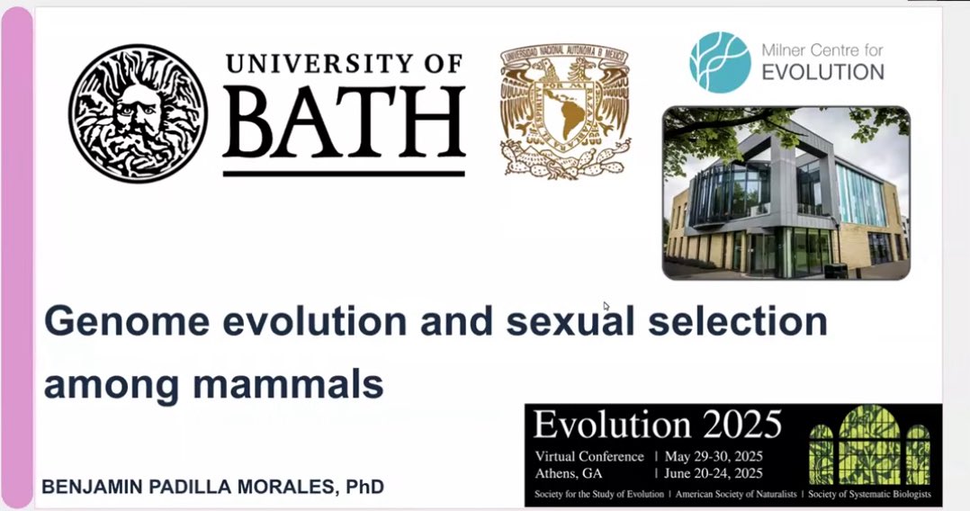 Benjamua (@bpm_tocopico) on Twitter photo Hi everyone! I’m excited to share my latest talk on genome evolution and sexual selection, presented at #Evol2025 and hosted by <a href="/Evol_mtg/">Evolution Meetings</a>.
Many thanks to <a href="/MilnerCentre/">Milner Centre for Evolution</a>, <a href="/UniofBath/">University of Bath</a> and <a href="/IEcologiaUNAM/">Instituto de Ecologia,UNAM</a> for all their support!
🎥 youtu.be/ATH69nnuMVA?si… Hi everyone! I’m excited to share my latest talk on genome evolution and sexual selection, presented at #Evol2025 and hosted by <a href="/Evol_mtg/">Evolution Meetings</a>.
Many thanks to <a href="/MilnerCentre/">Milner Centre for Evolution</a>, <a href="/UniofBath/">University of Bath</a> and <a href="/IEcologiaUNAM/">Instituto de Ecologia,UNAM</a> for all their support!
🎥 youtu.be/ATH69nnuMVA?si…
