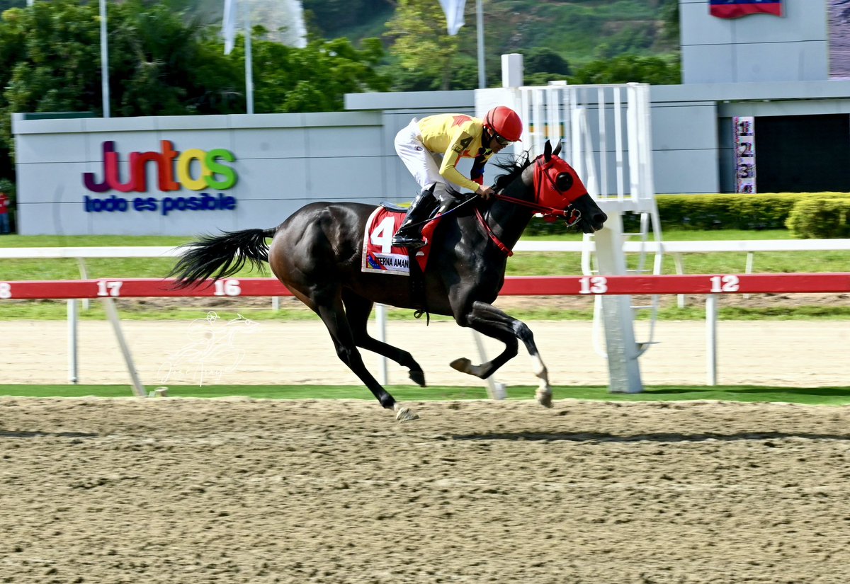 "La Gloria es de Dios" Siempre gracias igual a todos los q nos apoyan semana a semana, mi 4to triunfo en este clásico H.L rinconada como agente, Rosalba Maria, J.Urdaneta Mi Querida Emma, J.Lugo JR Brown Sugar,J Lugo, Eterna Amanda, J.Lugo