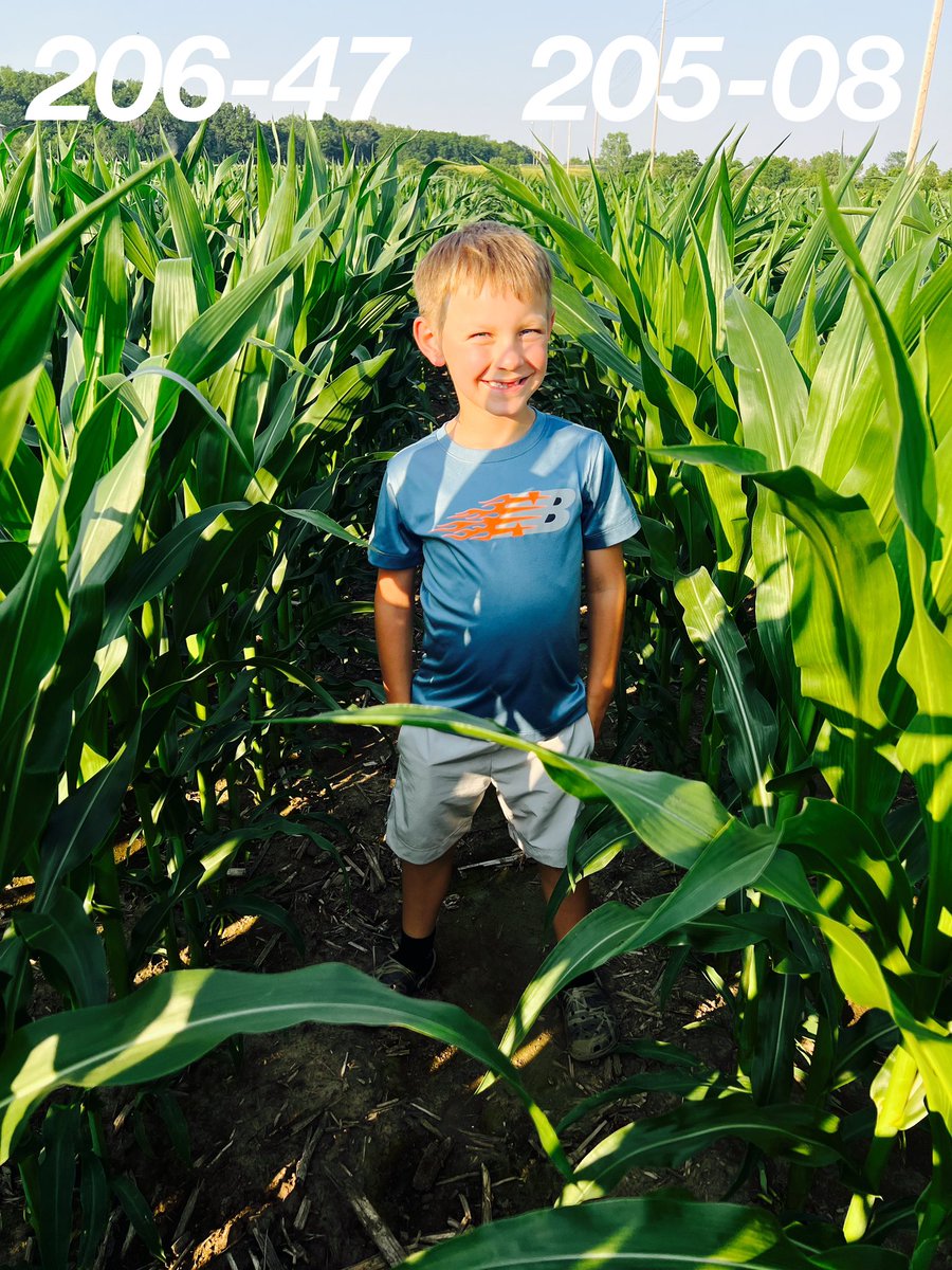 Connor thinks this new class of <a href="/ChannelSeed/">Channel Seed</a> 🌽hybrids are pretty awesome!

Corn is starting to hit the gas. 🏎️🏁

<a href="/Channel_MO/">Channel Missouri</a> <a href="/BayerTraits/">Bayer Traits & Systems</a>