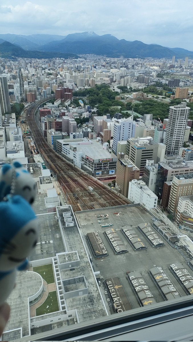 otmcek1's tweet photo. 高いところに来ましたニャゴ🐈️
#JRタワーT38
#11ぴきのねこ
@札幌駅 https://t.co/djSRegBECl