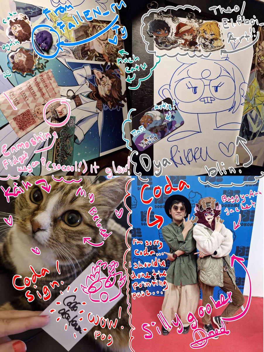 Small summary of my Dokomi trip! (+ My cat Kain. Also it says goober, not gooner.)
