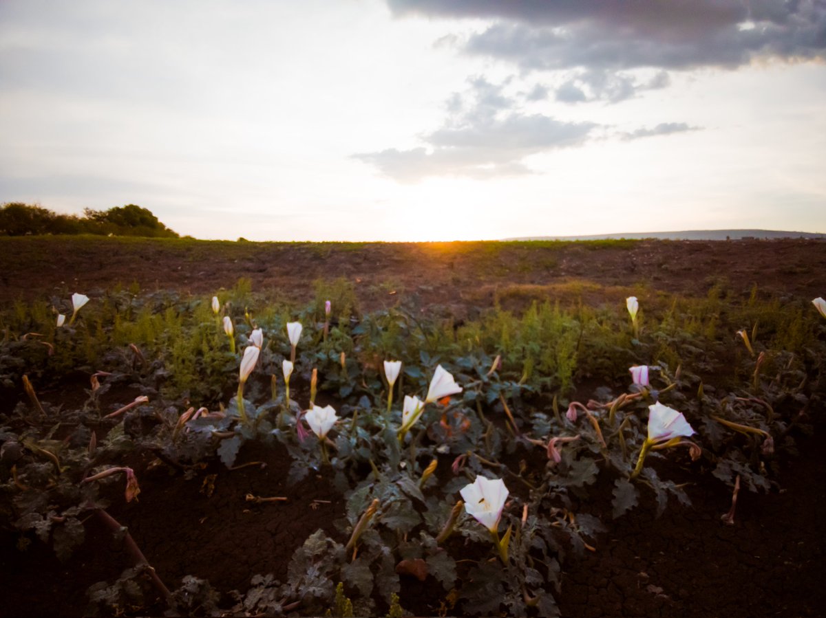 Los momentos mágicos quedarán para siempre en nuestra memoria 

#Fotografía #NochesdeLuna