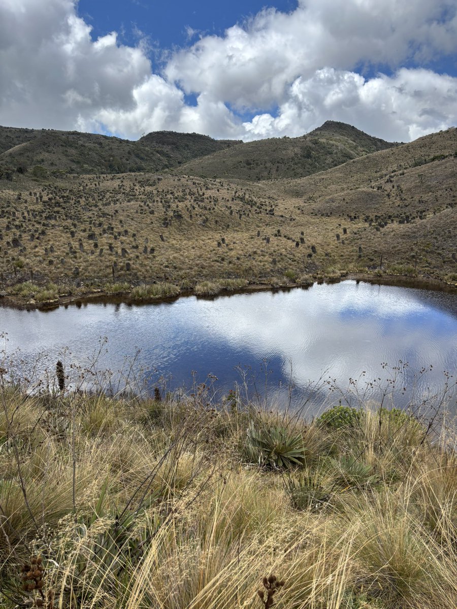 La Ley del Eco rige a la Tierra. Si gritas “A” el Eco en las montañas retorna y esparce la “A”. Si entregas Bondad la Ley del Eco retorna y esparce Bondad. Lo mismo pasa con la Maldad. 
Sabiendo como opera  la Ley del Eco seremos más conscientes de lo que entregamos.