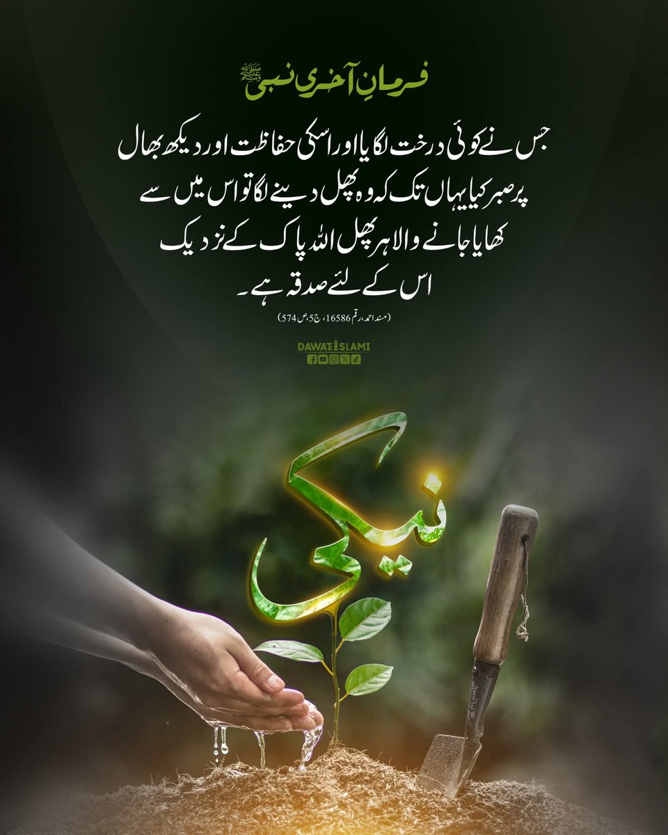 FAROOQ JAMAL tweet media