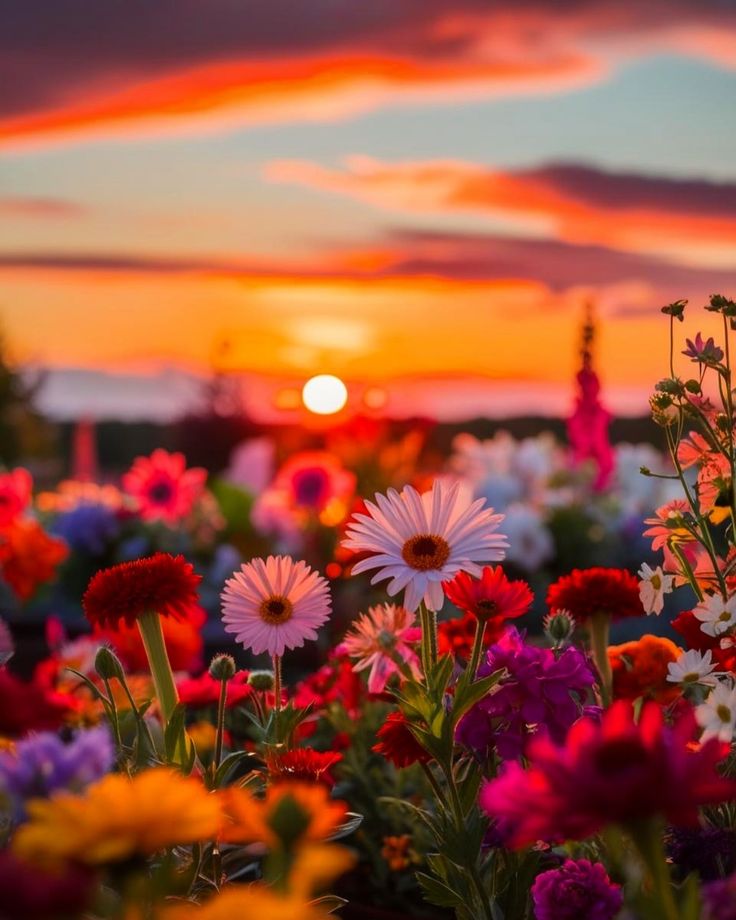 Good morning my dear 𝕏 family 

Happy Mid-week 🫂