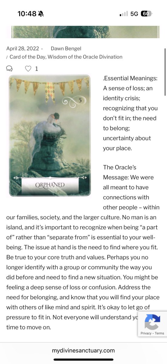 jade ☆ tweet media