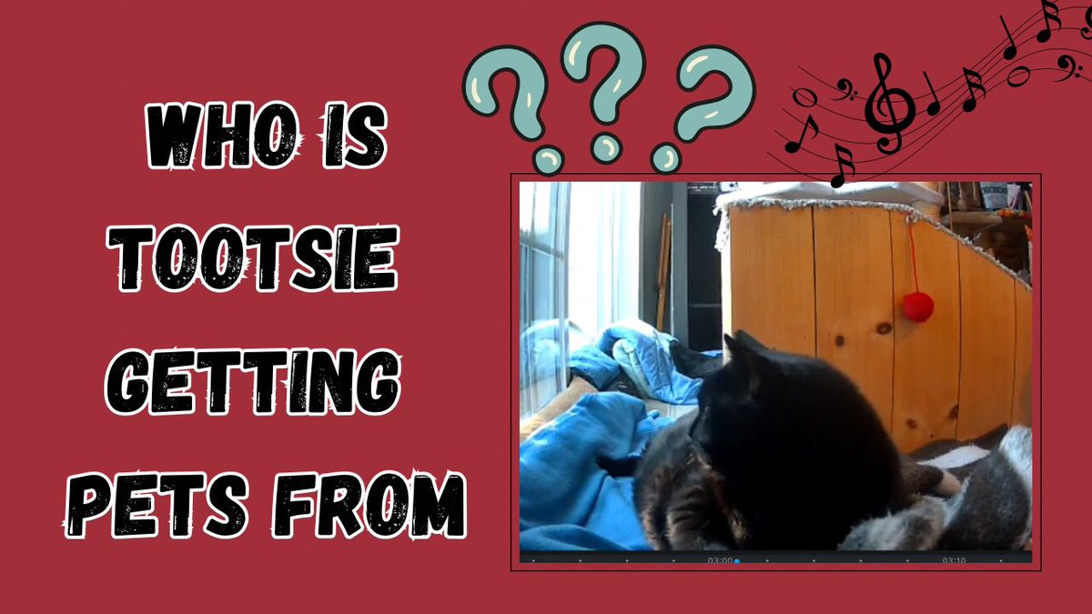 1955) Who is Tootsie (Getting Pets) from ? youtu.be/vXrd3k8T2js?si… via <a href="/YouTube/">YouTube</a>