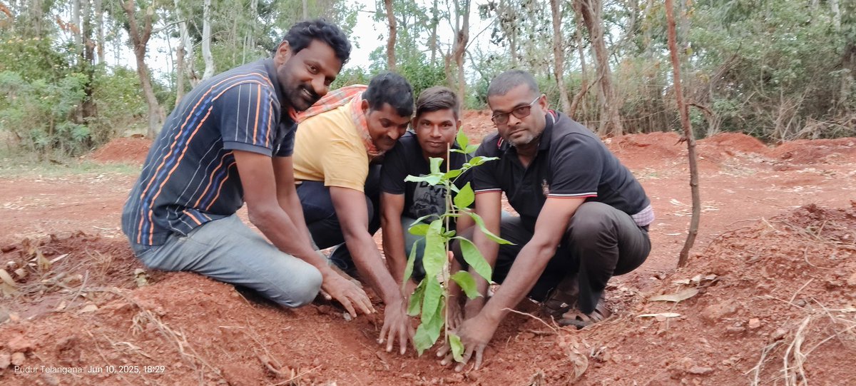 vata_foundation's tweet image. Apart from translocating 2500+ trees.. #KanchaGachibowli.. #TheBigTreeQuest.. we are also planting over 20k #biodiverse saplings in jungles.. 

2025 has been extremely busy for us and for the best of the reasons!!!

Thank you for your support!!!
#SaveFullyGrownTrees

@UNFCCC @UN…