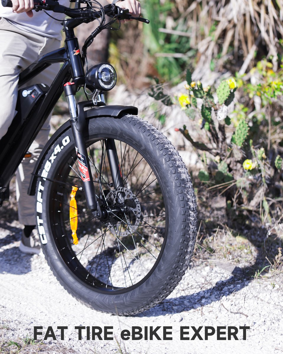 kingbullbike's tweet image. Different places, same comfortable riding experience.
With CST 26''*4'' fat tire and hydraulic front fork, there is no worries about riding #Hunter2 into bumping road, taking care of your body.
#ebikestyle  #facethewind #Kingbullbike #FathersDayGifts