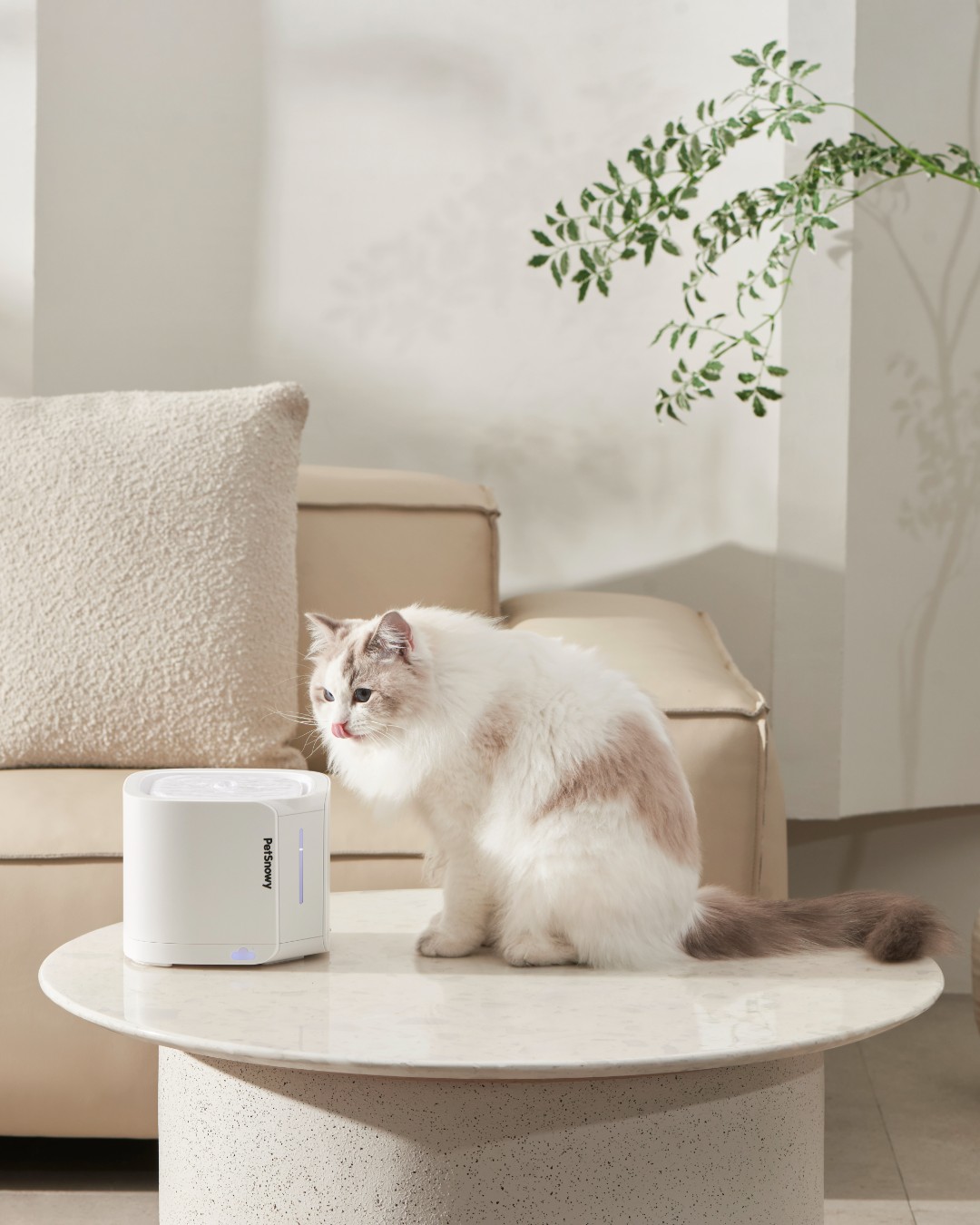 PetSnowy | ペット用品😺🐶 (@PetsnowyJapan) / X