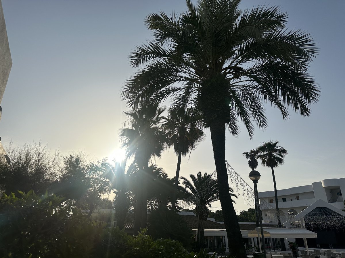 𝓐𝓻𝓳𝓪𝓷 tweet media